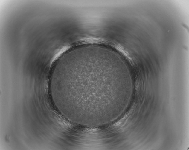 X0000095111309200712141143