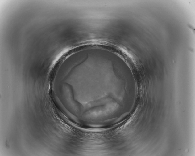 X0000095111310200712141143