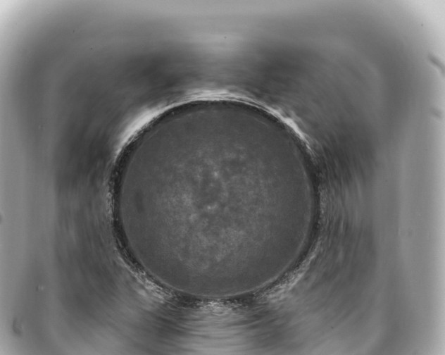 X0000095111311200712141143