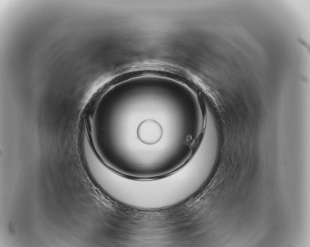 X0000095111312200712141143