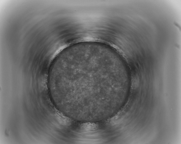 X0000095111314200712141143