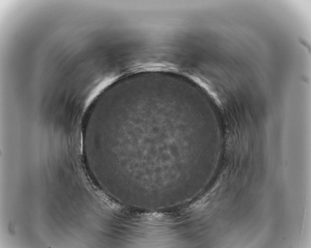 X0000095111317200712141143