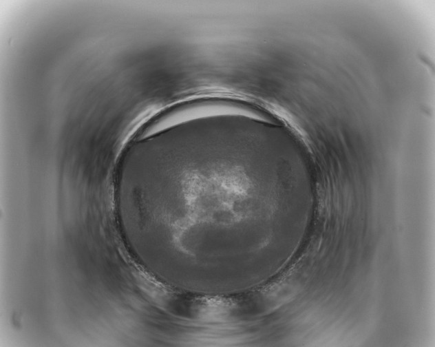 X0000095111318200712141143