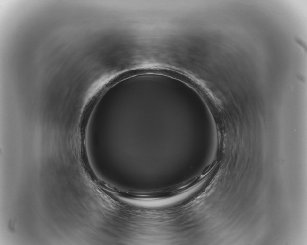 X0000095111319200712141143