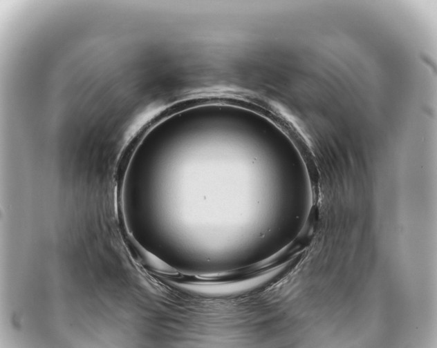 X0000095111320200712141143