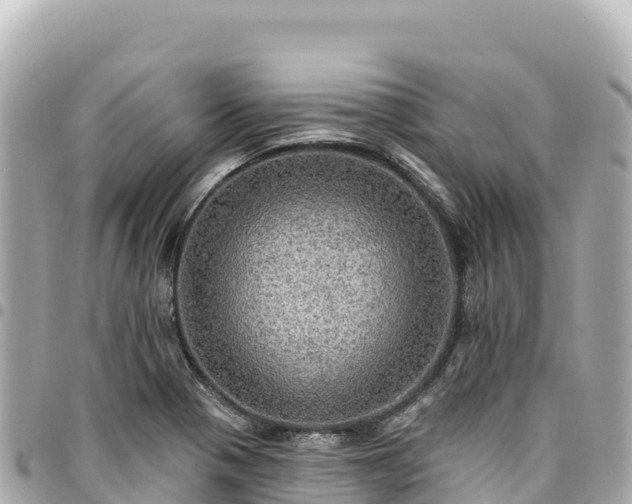 X0000095111321200712141143