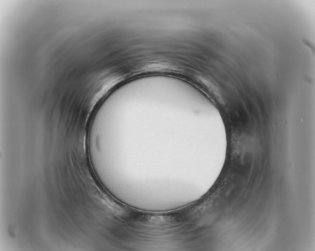 X0000095111322200712141143