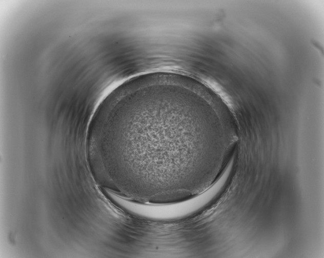 X0000095111324200712141143