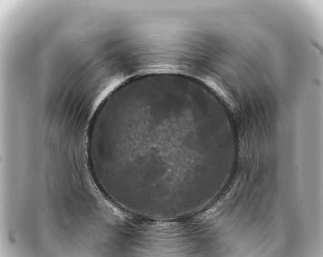 X0000095111325200712141143