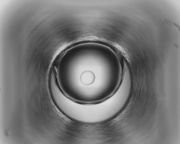 X0000095111326200712141143