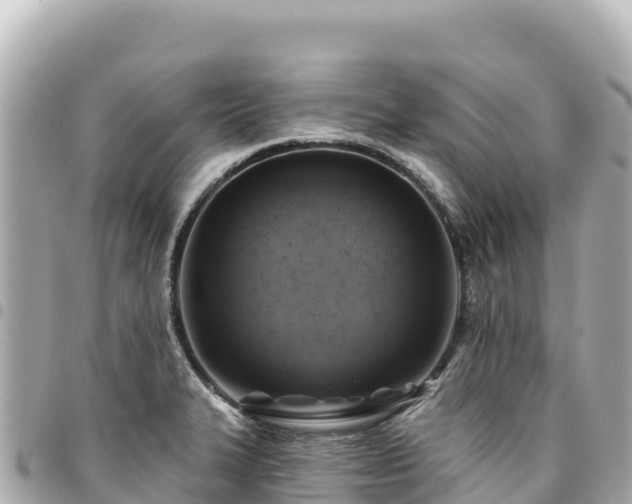 X0000095111327200712141143