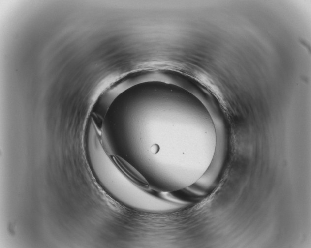 X0000095111328200712141143