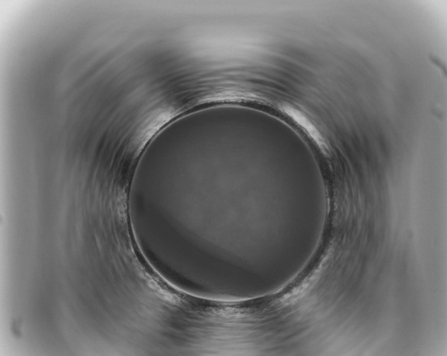 X0000095111329200712141143