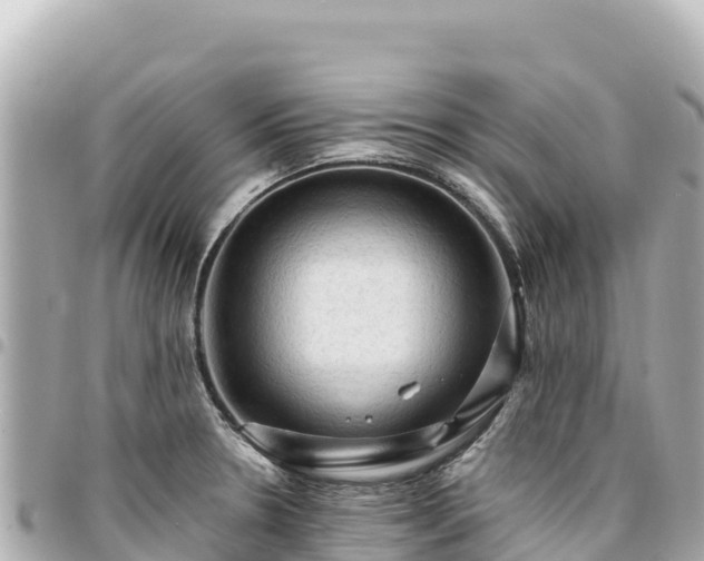 X0000095111330200712141143