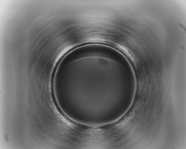 X0000095111331200712141143