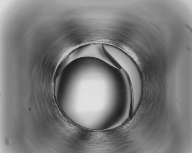 X0000095111332200712141143