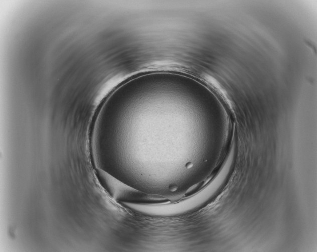 X0000095111336200712141143