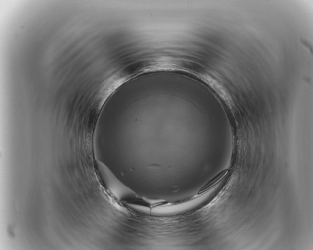 X0000095111337200712141143