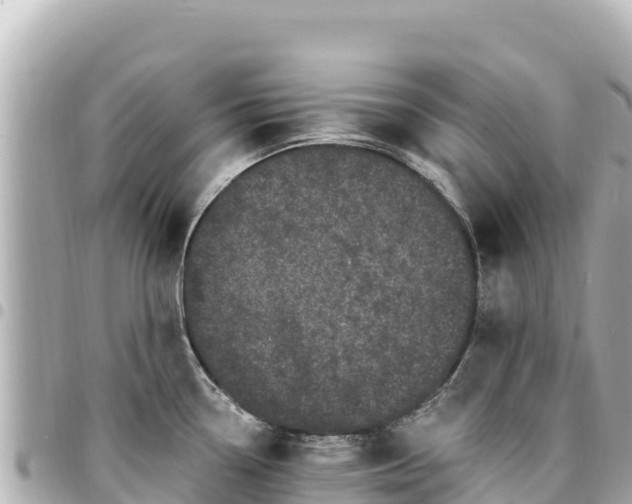 X0000095111338200712141143