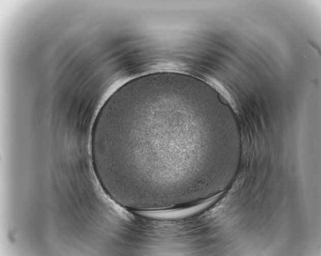 X0000095111339200712141143