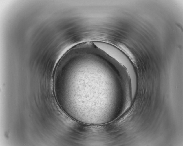 X0000095111340200712141143