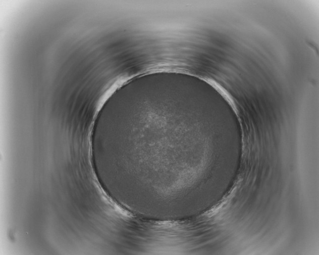 X0000095111341200712141143