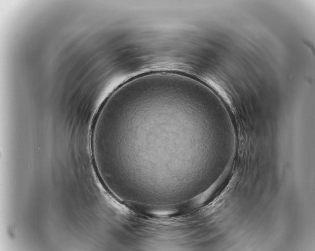 X0000095111342200712141143