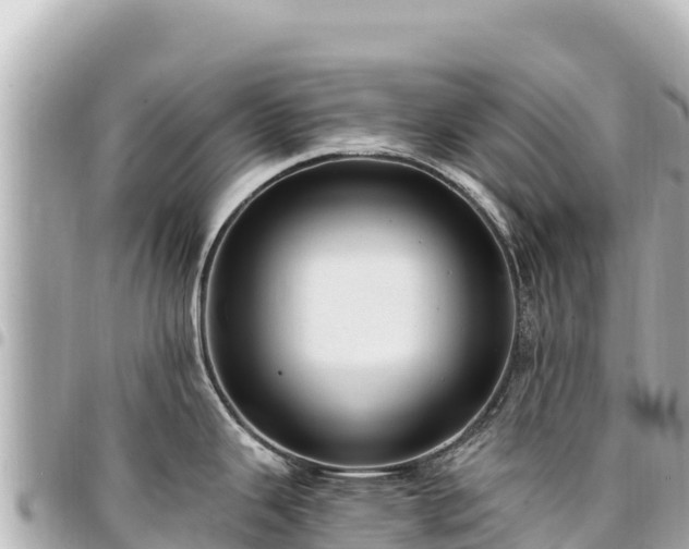 X0000095111343200712141143