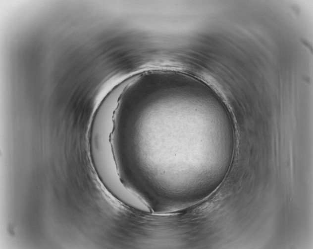 X0000095111344200712141143