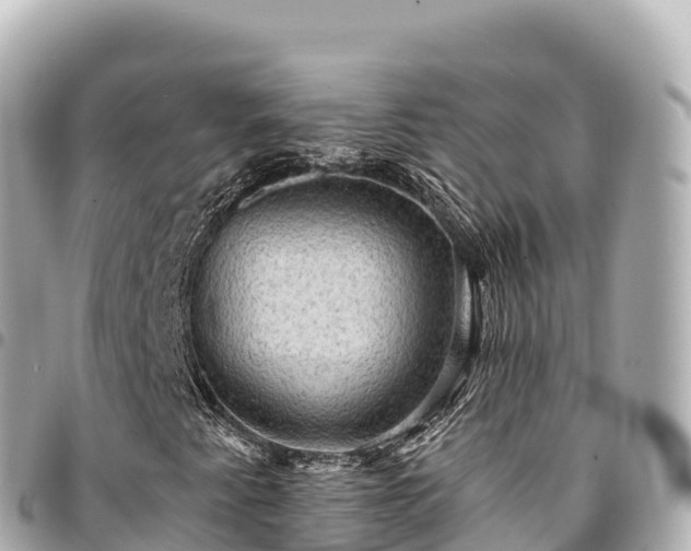 X0000095111345200712141142