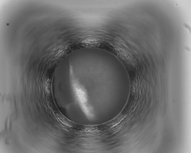 X0000095111346200712141142