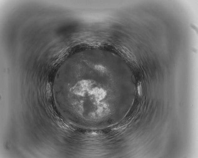 X0000095111347200712141142