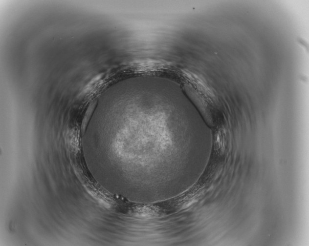 X0000095111348200712141142