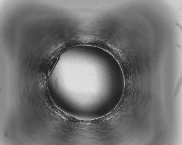 X0000095111349200712141142