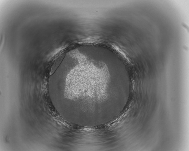 X0000095111350200712141142