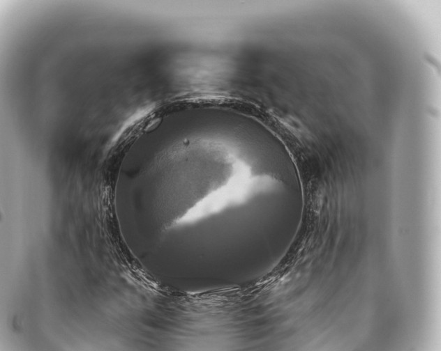 X0000095111351200712141142