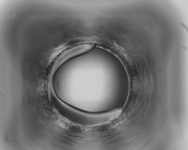 X0000095111352200712141142