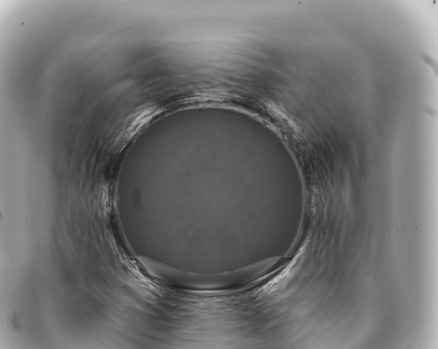 X0000095111353200712141142