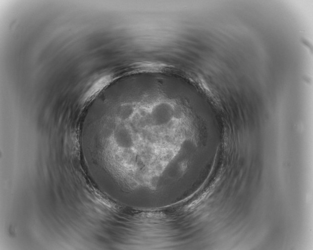 X0000095111354200712141142