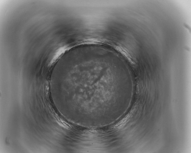 X0000095111355200712141142