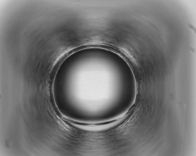 X0000095111356200712141142