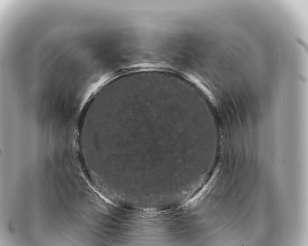 X0000095111357200712141142