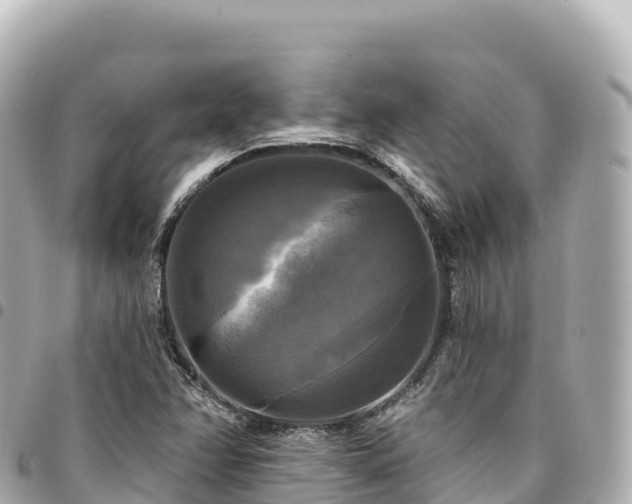 X0000095111358200712141142