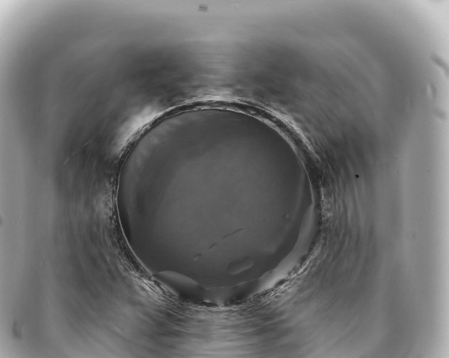 X0000095111359200712141142