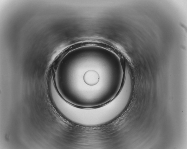 X0000095111360200712141142