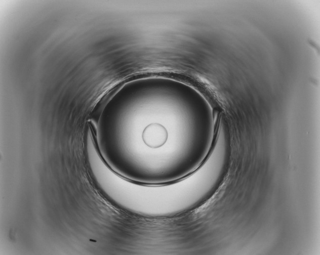 X0000095111361200712141142