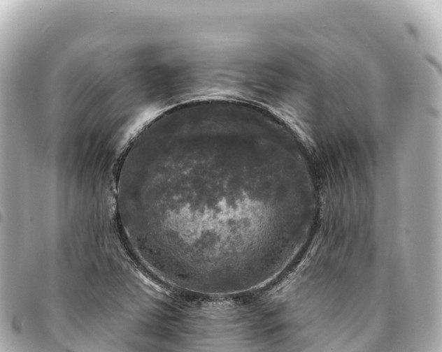 X0000095111363200712141142