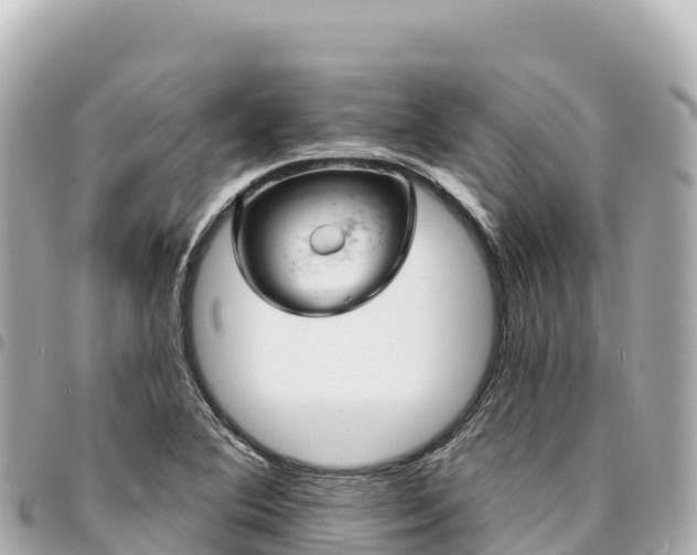 X0000095111364200712141142