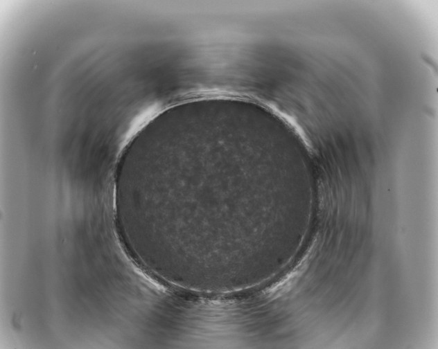 X0000095111365200712141142