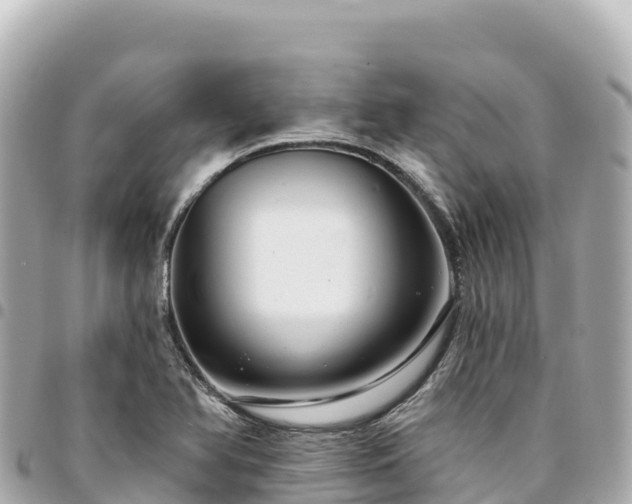 X0000095111366200712141142